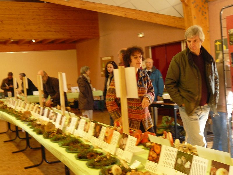 2009 10 Expo champignons de Clairefontaine 04